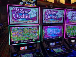7news Arcade